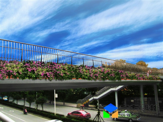 安友高架桥绿化种植花箱立体绿化养护