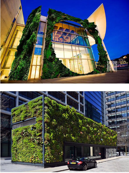 墙面绿化种植花箱植物墙立体绿化建筑物
