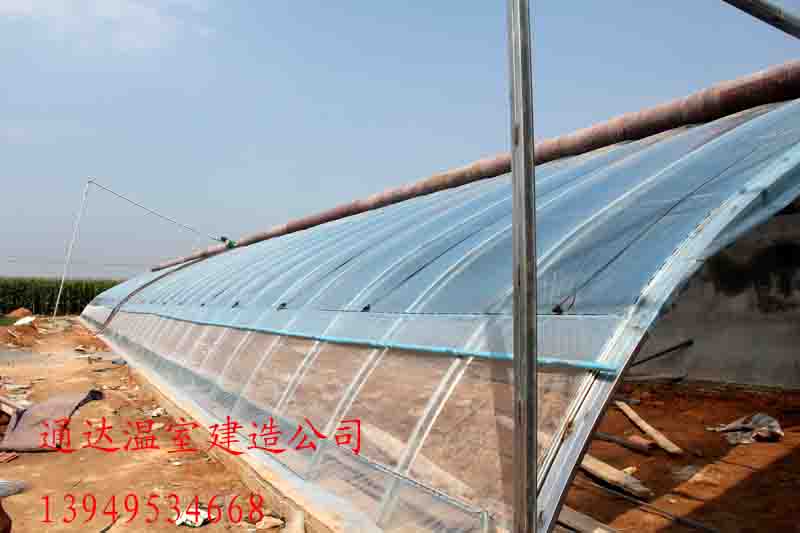 日光温室建造面积通达大棚材料供应