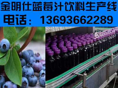 蓝莓果汁生产线设备供应、蓝莓汁饮料生产设备、金明仕中小型蓝莓饮料生产线设备价