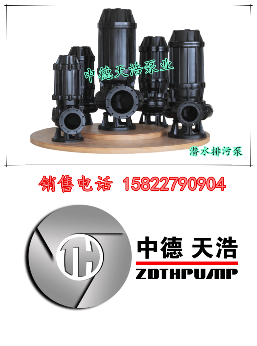 天津泵业污水潜水泵生产厂家价格