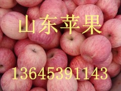 山东苹果产地在哪最便宜苹果批发