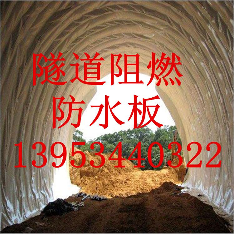 浙江温州隧道1.0mm阻燃防水板厂家
