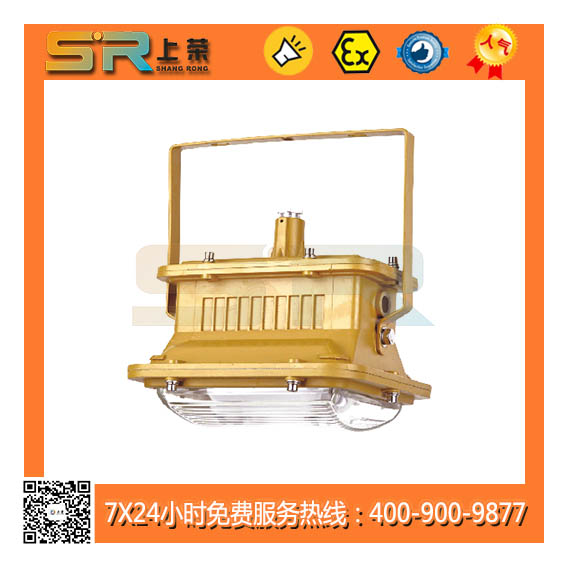 SR109免维护节能防爆泛光灯