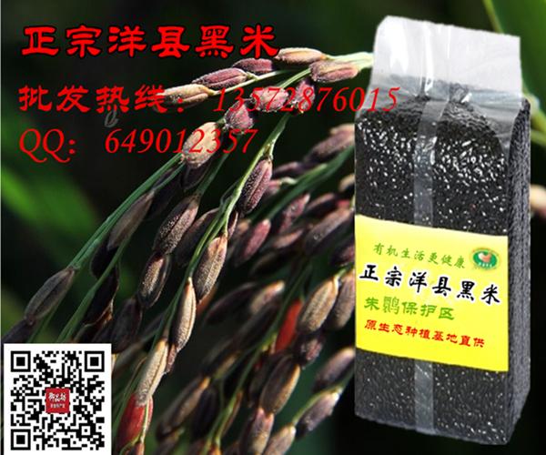 洋县有机黑米批发1000g纯天然养生黑米粥米，产地厂家直销