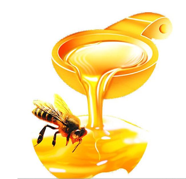 青岛进口蜂蜜清关2蜂蜜的定义