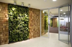 室内立体绿化施工设计哪家好