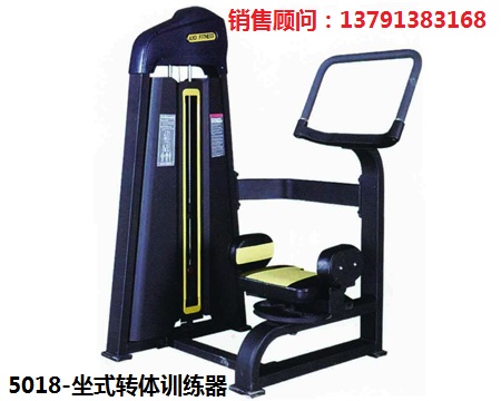 山东奥信德健身器材AXD-5018坐式转体训练器健身房商用500必确系列