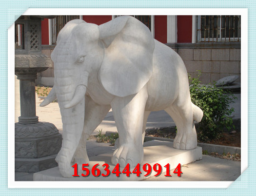 汉白玉石料大象价格 手工雕刻石头象图片