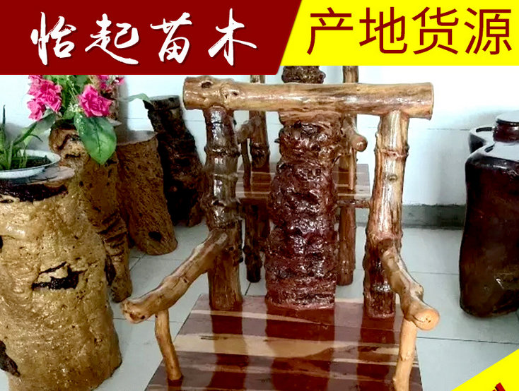 古典风格枣木椅