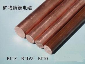 天津小猫电缆厂 BTTZ重型铜护套矿物绝缘电缆