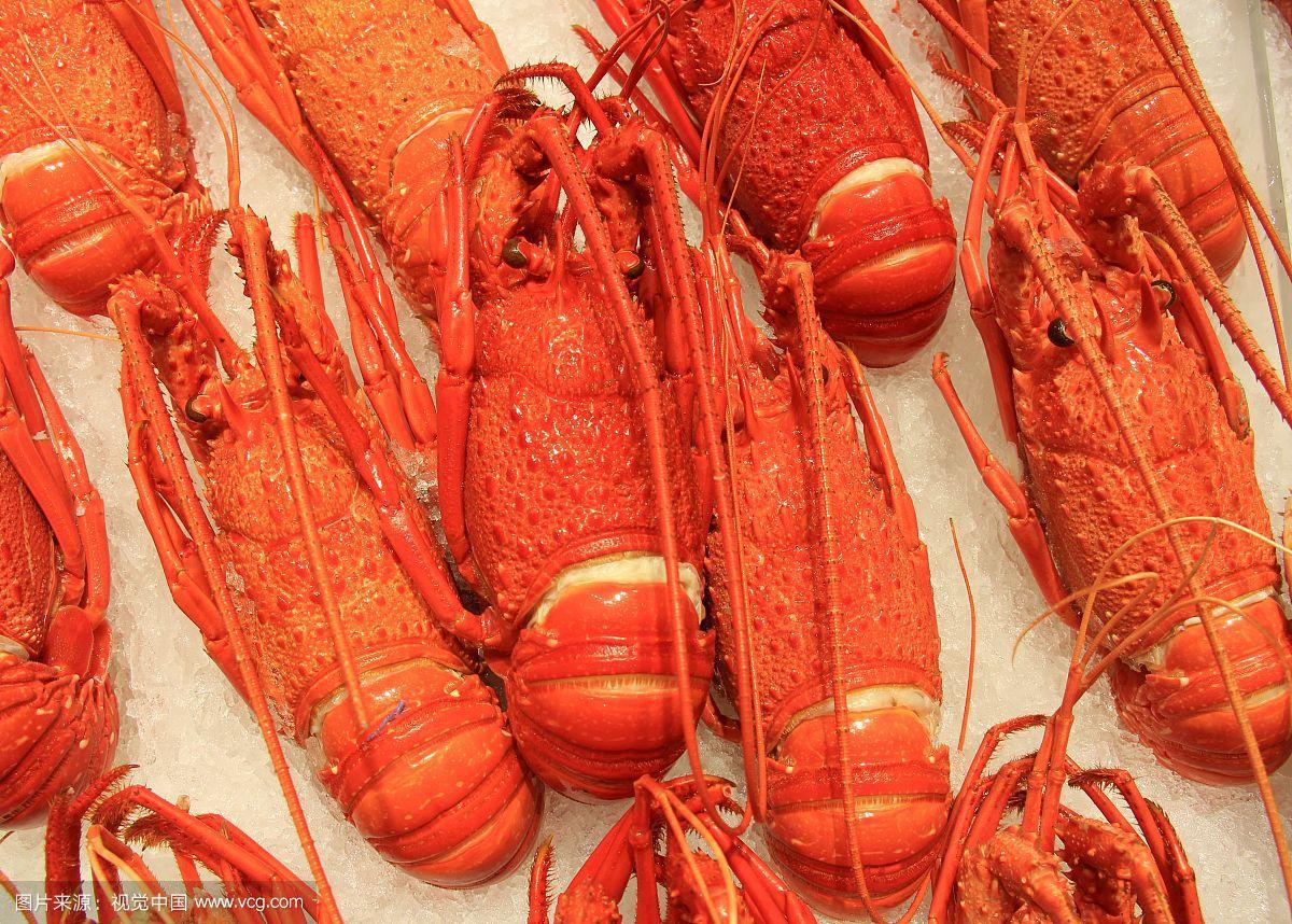 阿根廷红虾进口上海代理清关|清关流程