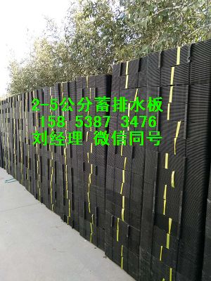 温州&amp;屋顶防穿刺排水板#车库绿化透水板-全国发货