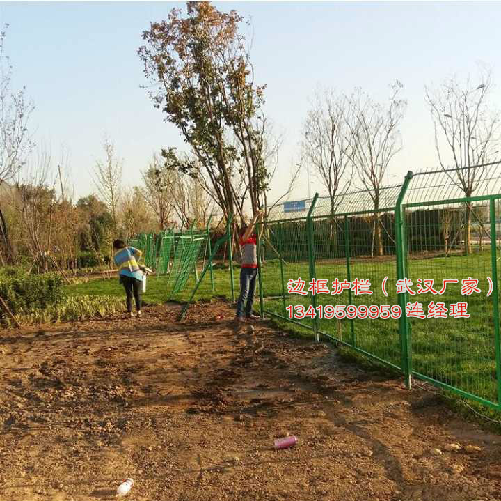 林业局合作厂家-武汉博达护栏网厂，专业生产铁丝围网，保护树木