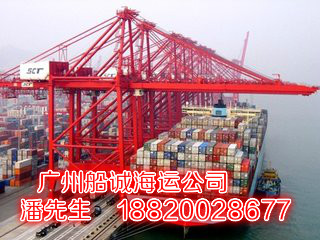 广州荔湾区到天津海运集装箱代理运输