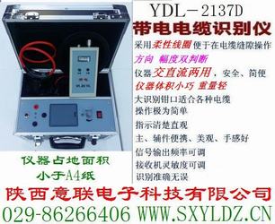 YDL-2137D带电识别仪