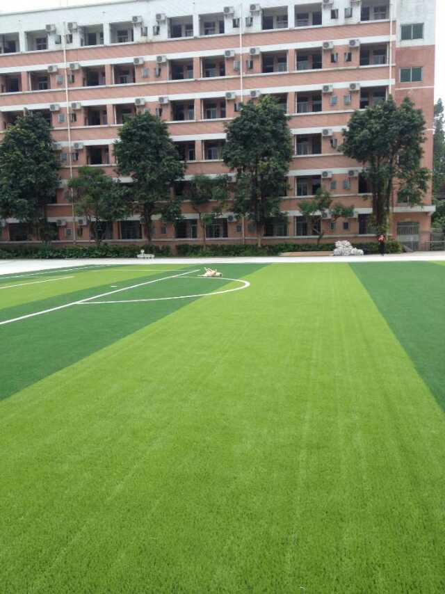 厂家直销足球场人造草坪 幼儿园庭院休息草坪