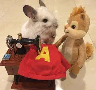 外资公司注册，外资公司代理记账I58 OI5O 5675