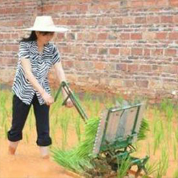 小型插秧机水稻插秧机种植机播种机