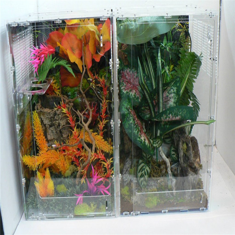 有机玻璃亚克力宠物箱爬行动物盒蛇变色龙蜥蜴乌龟蜘蛛鹦鹉箱子