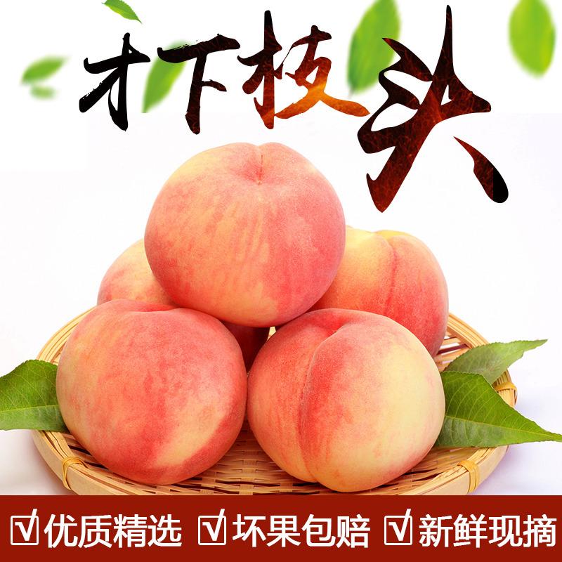 6斤包邮 陕西临潼水蜜桃 新鲜水果 桃子脆桃软桃