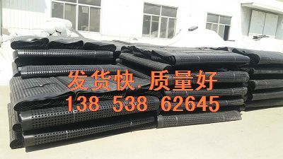 车库阻根刺蓄排水板&amp;用途=上海排水板厂家全国发货