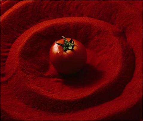 供应食品级天然番茄红素粉含量10%