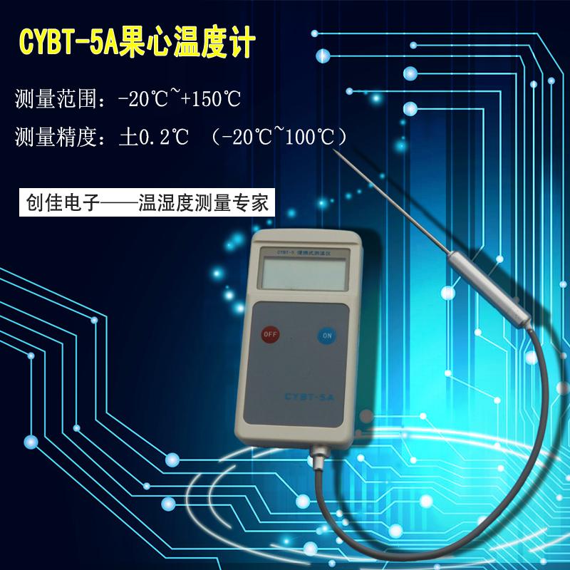 CYBT-5A手 持 表/手持温度计/中心温度计