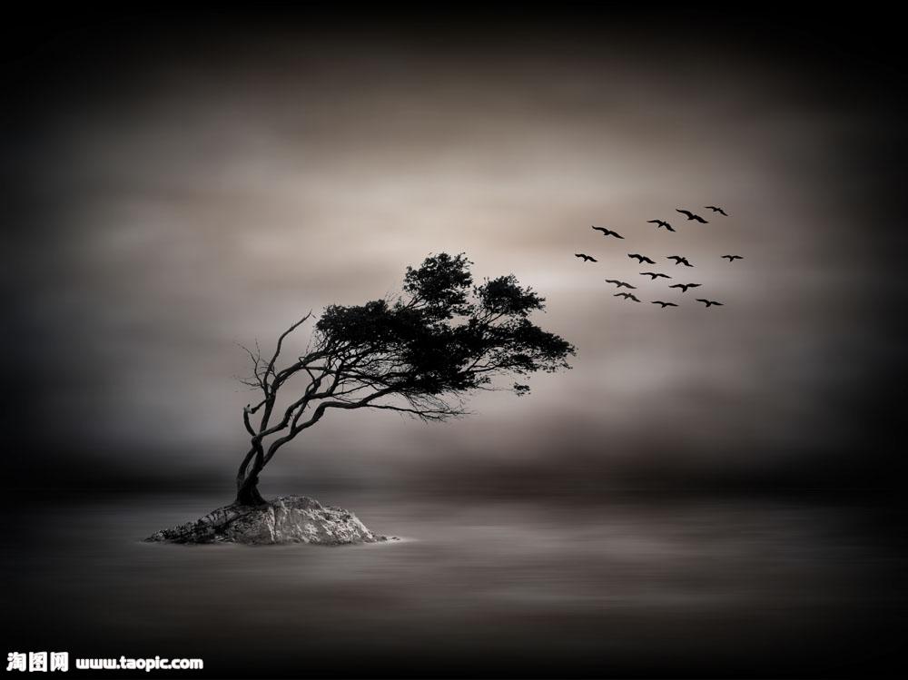 北京广播节目制作/影视节目制作I58 OI5O 5675