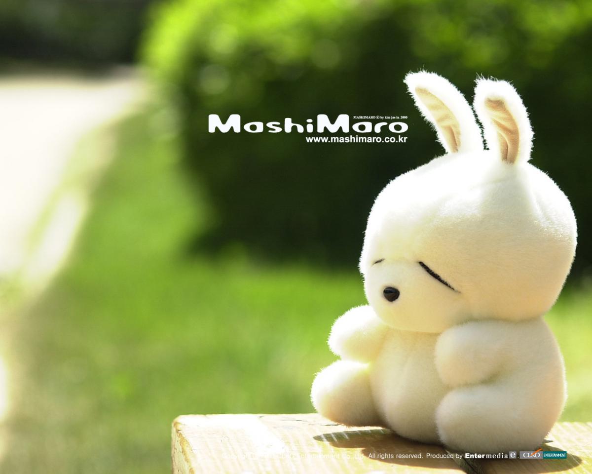 北京营业执照收购/北京公司收购/北京车指标公司收购