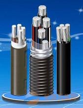 天津小猫电缆厂销售 YJHLV22钢带铠装铝合金电缆