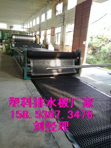 桂林）塑料透水疏水板∑抗穿刺排水板15853873476