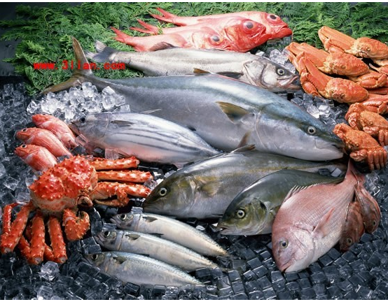 挪威三文鱼进口代理丨上海食品报关代理