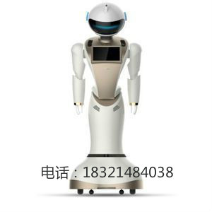 AI机器人公司