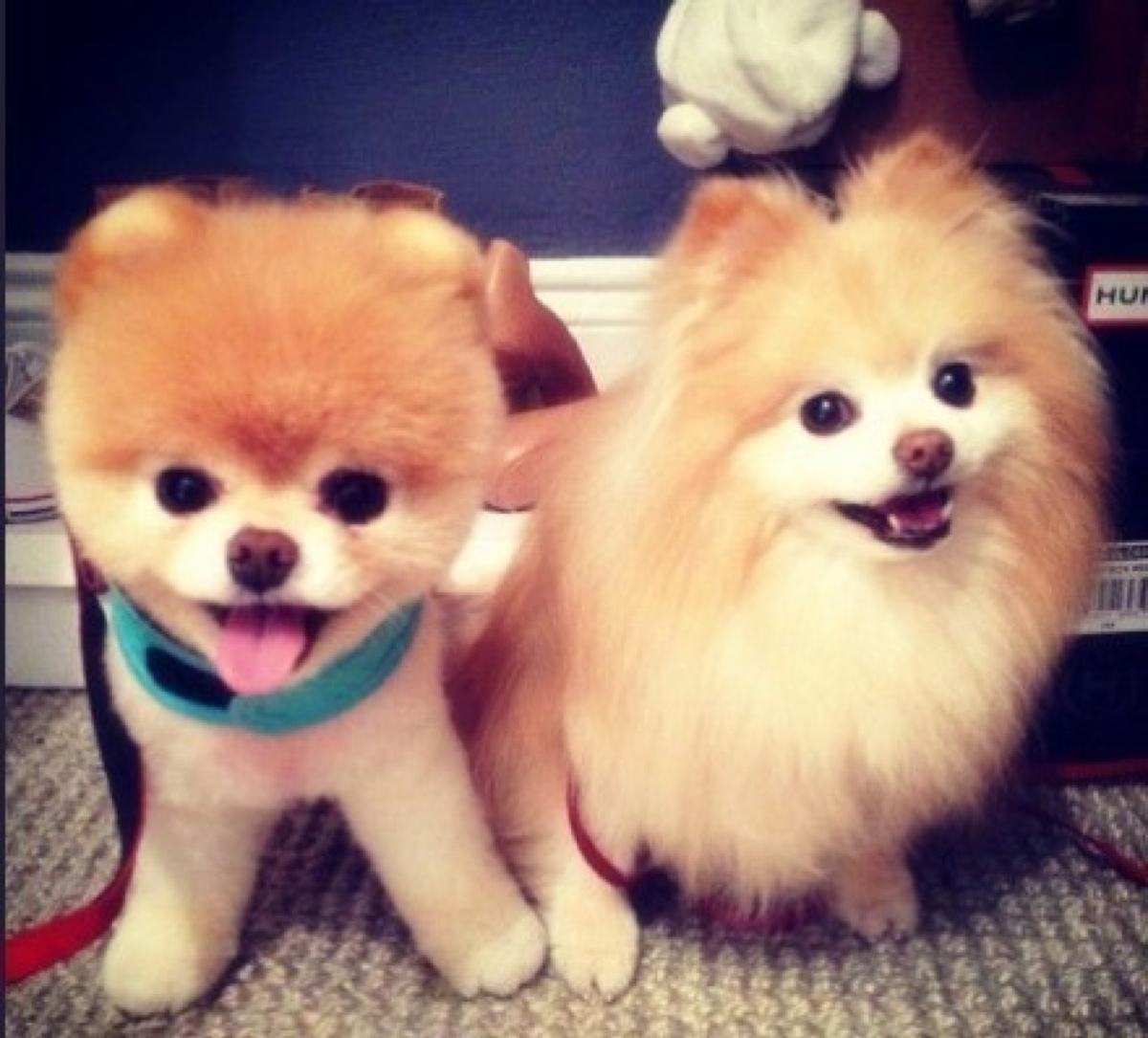 公司吊销了怎么办理注销I58OI5O5675