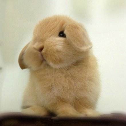 北京公司转让|收购北京公司，不限类型I58OI5O5675