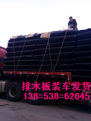   梅州卷材排水板3米宽（绿化蓄排水板500*500*20块状）