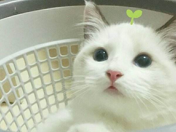 办理公司注销流程及费用I58O15O5675