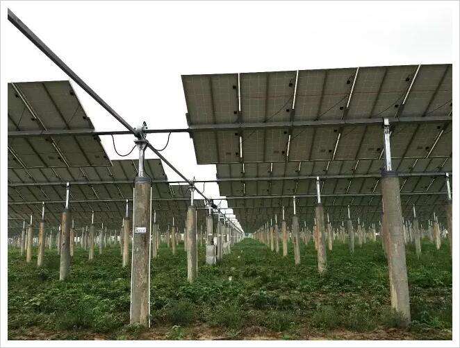 农光互补发电站为农业“增产增收”