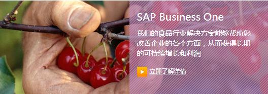 SAP Business One食品行业ERP-上海达策