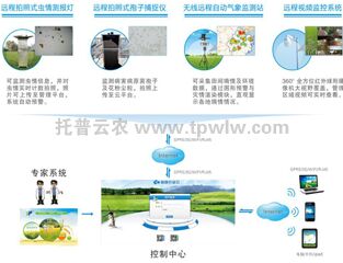 农作物重大病虫害数字化监测预警系统有何优势