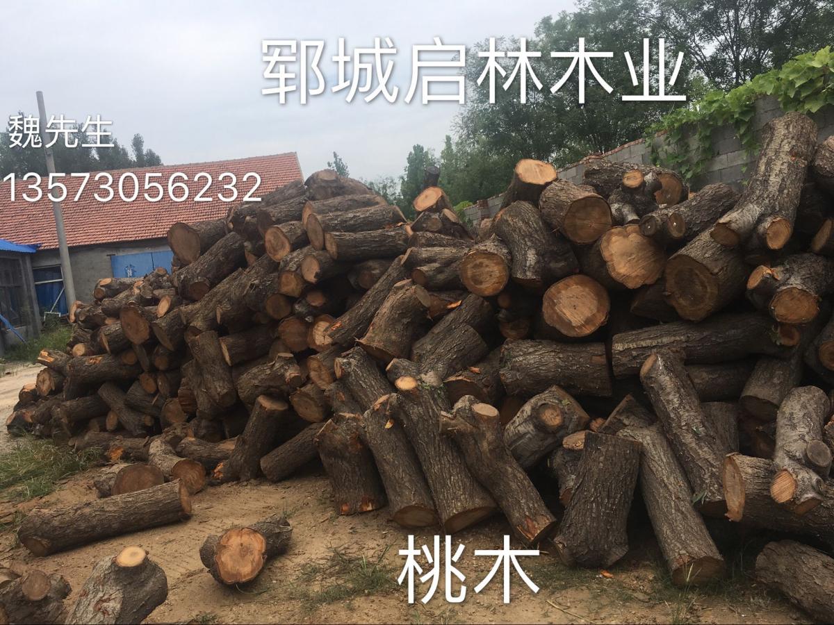 大量供应用于工艺品/木雕的优质桃木/优质桃木批发