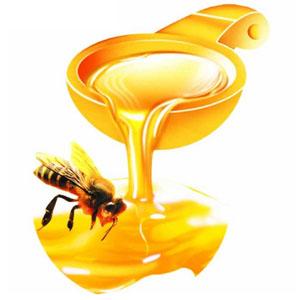 澳洲麦卢卡蜂蜜报关代理/麦卢卡蜂蜜进口代理报关公司