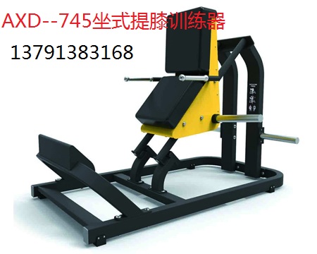 山东奥信德健身器材厂家直销AXD-745坐式提膝训练器