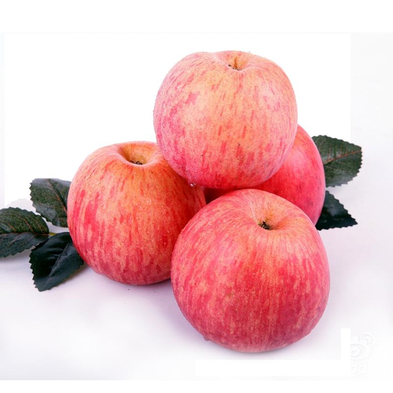 陕西洛川苹果 孕妇水果 新鲜脆甜10斤精装包邮