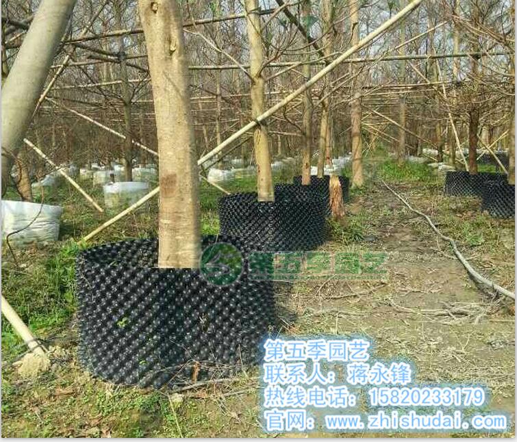 广东优质快速育苗用控根器 大树移栽用控根容器