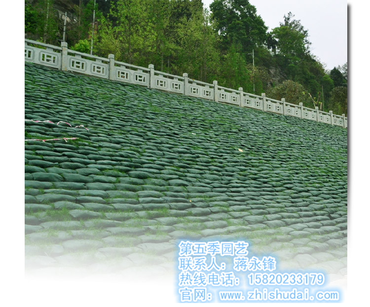 广东荒山绿化护坡护岸植生袋生态袋生态护坡工程