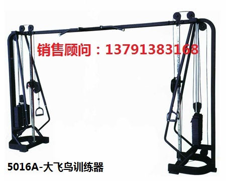 奥信德AXD-5016大飞鸟训练器健身房商用多功能健身器材厂家直销