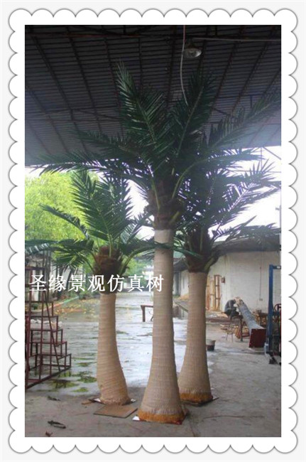 大型仿真椰子树_仿真椰子树 室外_室外仿真椰子树