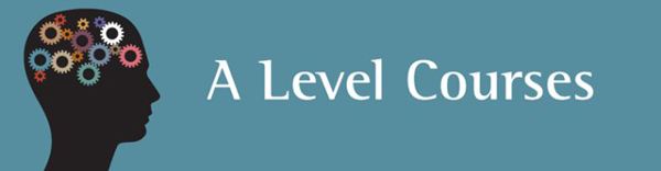 alevel培训，世纪桥alevel辅导，a-level课程在线授课